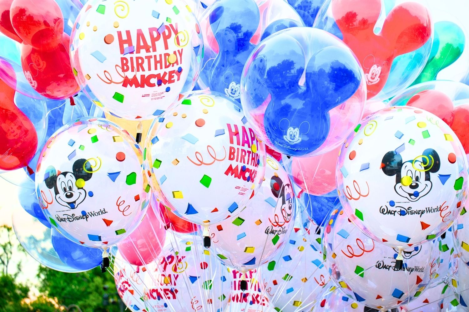 Disney World birthday ideas for adults